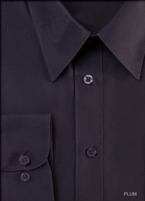 Men's Regular Fit Basic Dress Shirt in Plum Eggplant 16 34/35 / Plum Men's Regular Fit Basic Dress Shirt in Plum Eggplant 16 34/35 / Plum