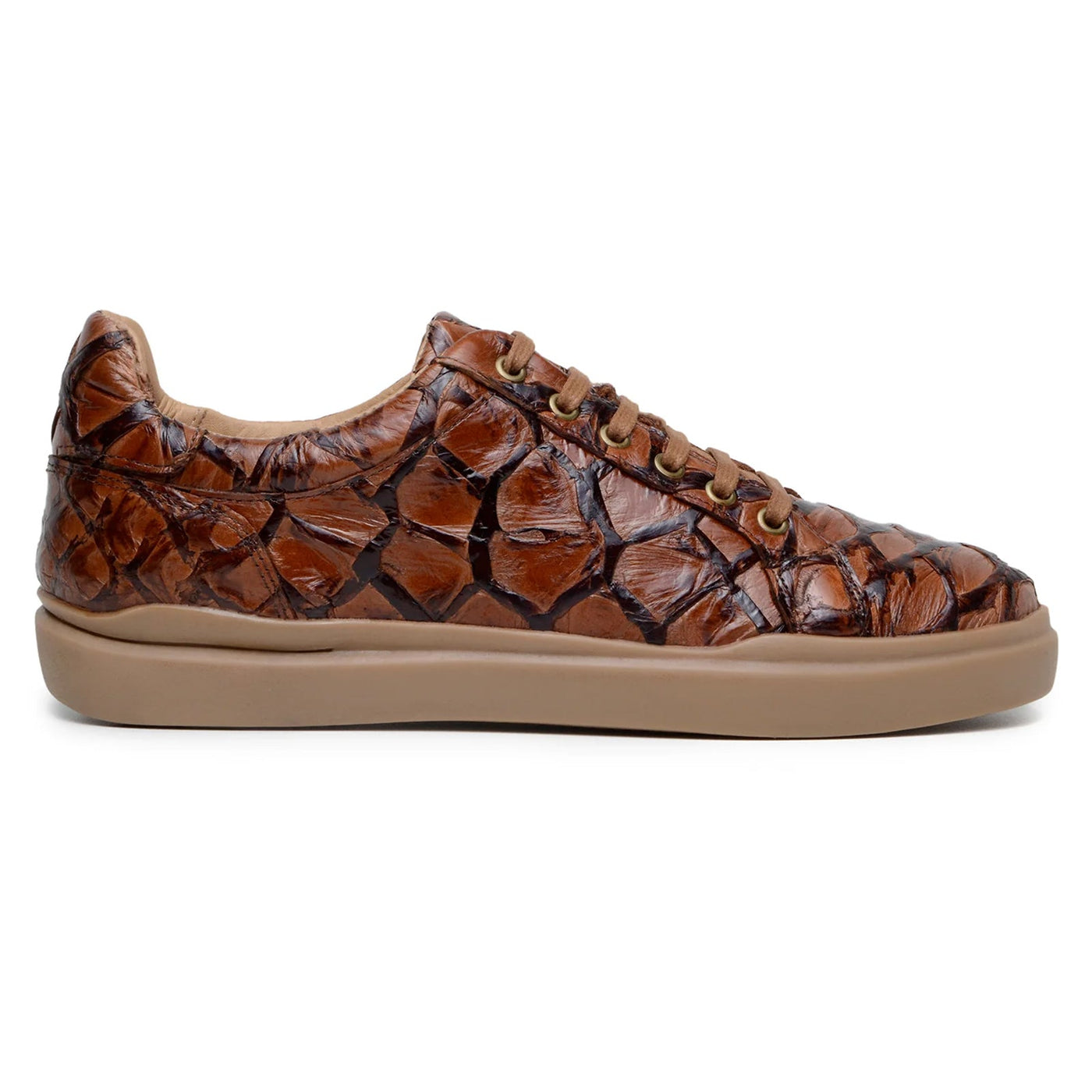 Men's Belvedere Kingstone Genuine Pirarucu Dress Sneaker in Almond Tan