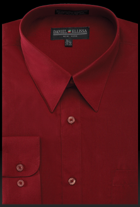 Men's Regular Fit Basic Dress Shirt in Burgundy