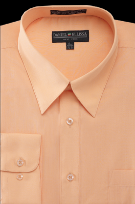 Men's Regular Fit Basic Dress Shirt in Peach