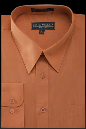 Men's Regular Fit Basic Dress Shirt in Rust